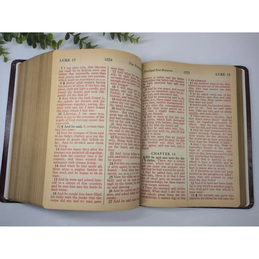 NO WRITING! VTG✝️1975 Giant Print Holy Bible KJV Red Letter Allan Concordance